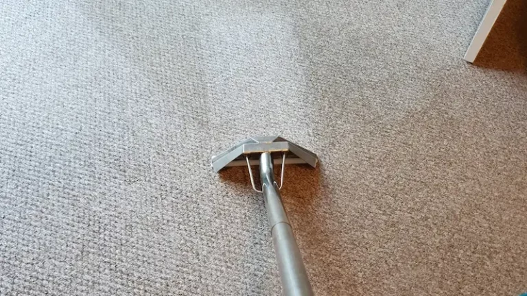 Partially clean area during a carpet clean. The clean area is visibly lighter than the rest.