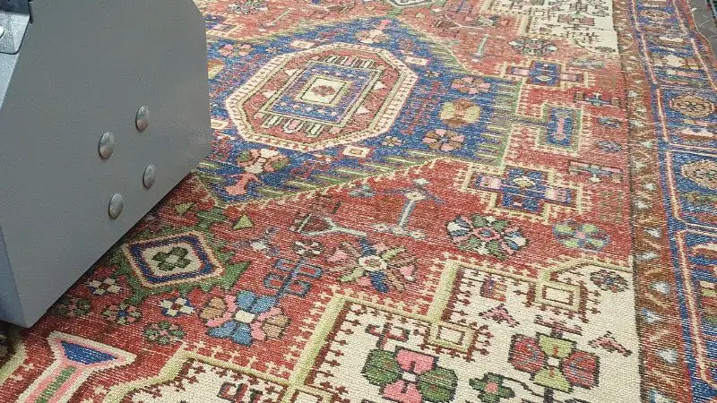 A back of an oriental wool rug during the cleaning process. A rug beating machine is being pushed over the rug.